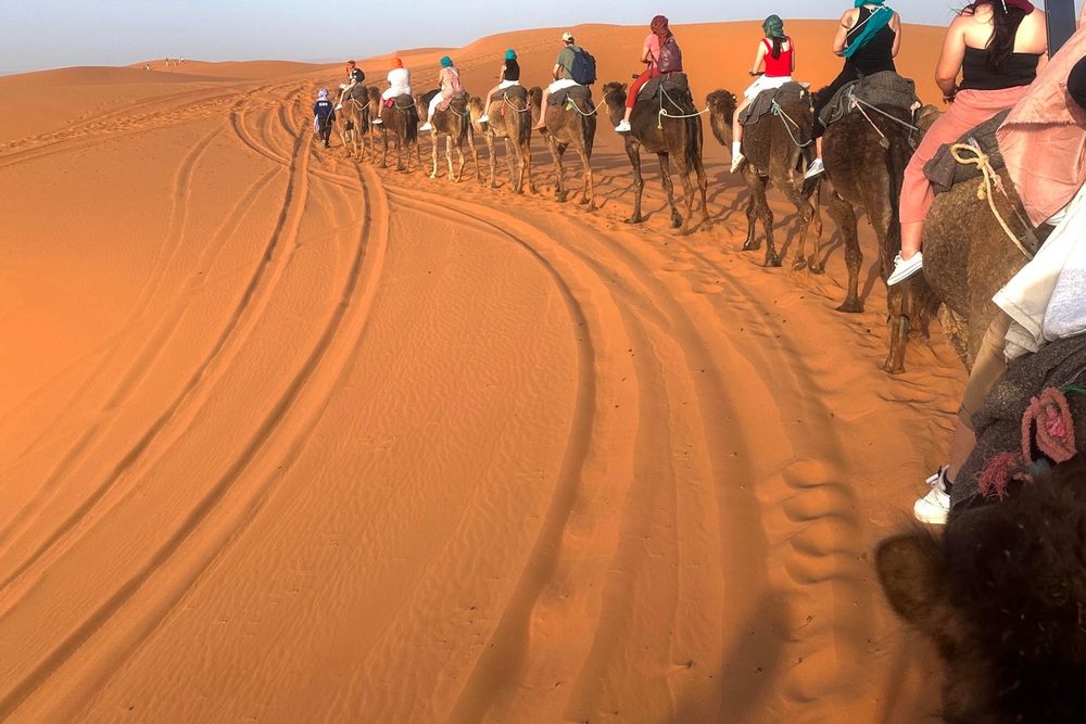 Camel ride