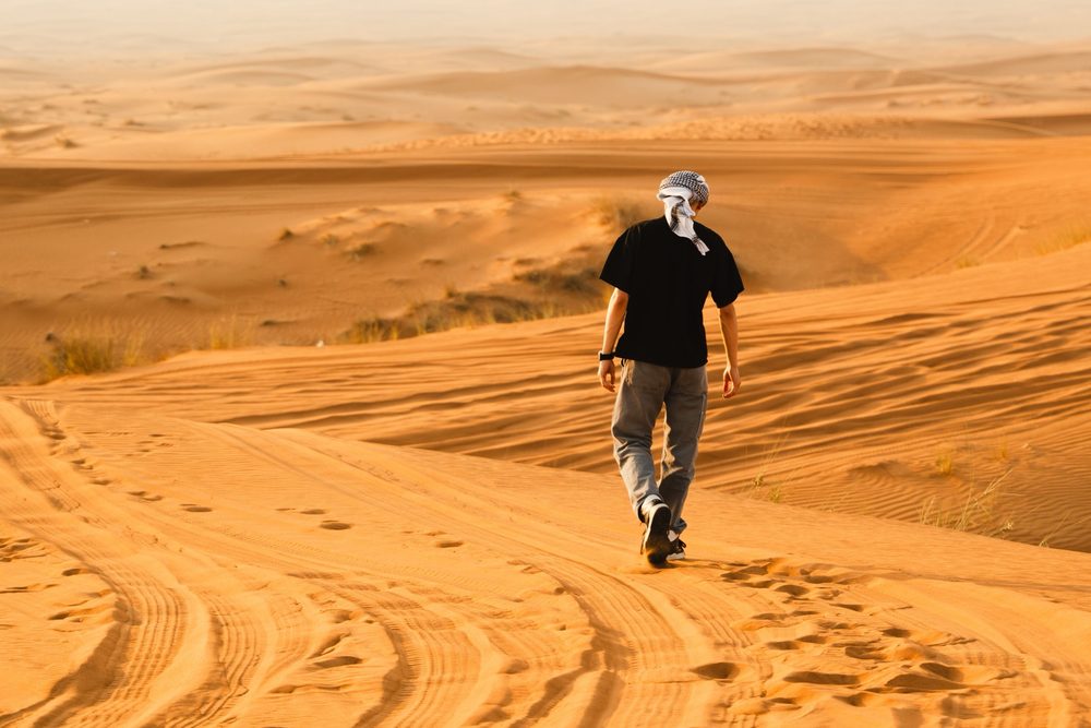 Desert Walking